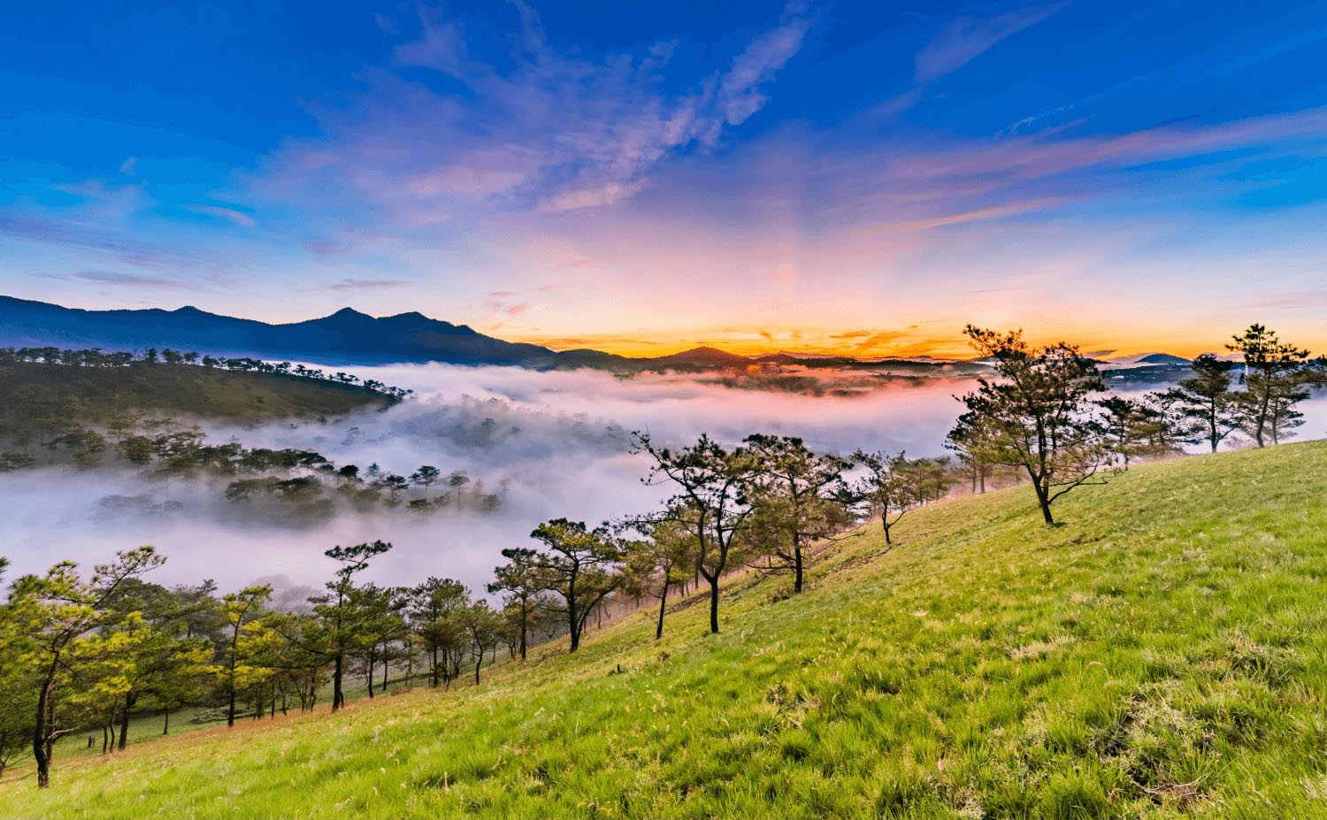 Khung cảnh Đà Lạt tuyệt đẹp